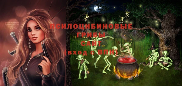 индика Алексеевка