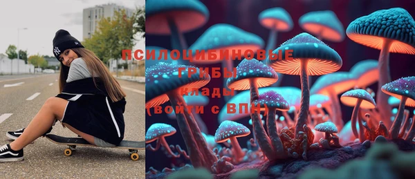 индика Алексеевка